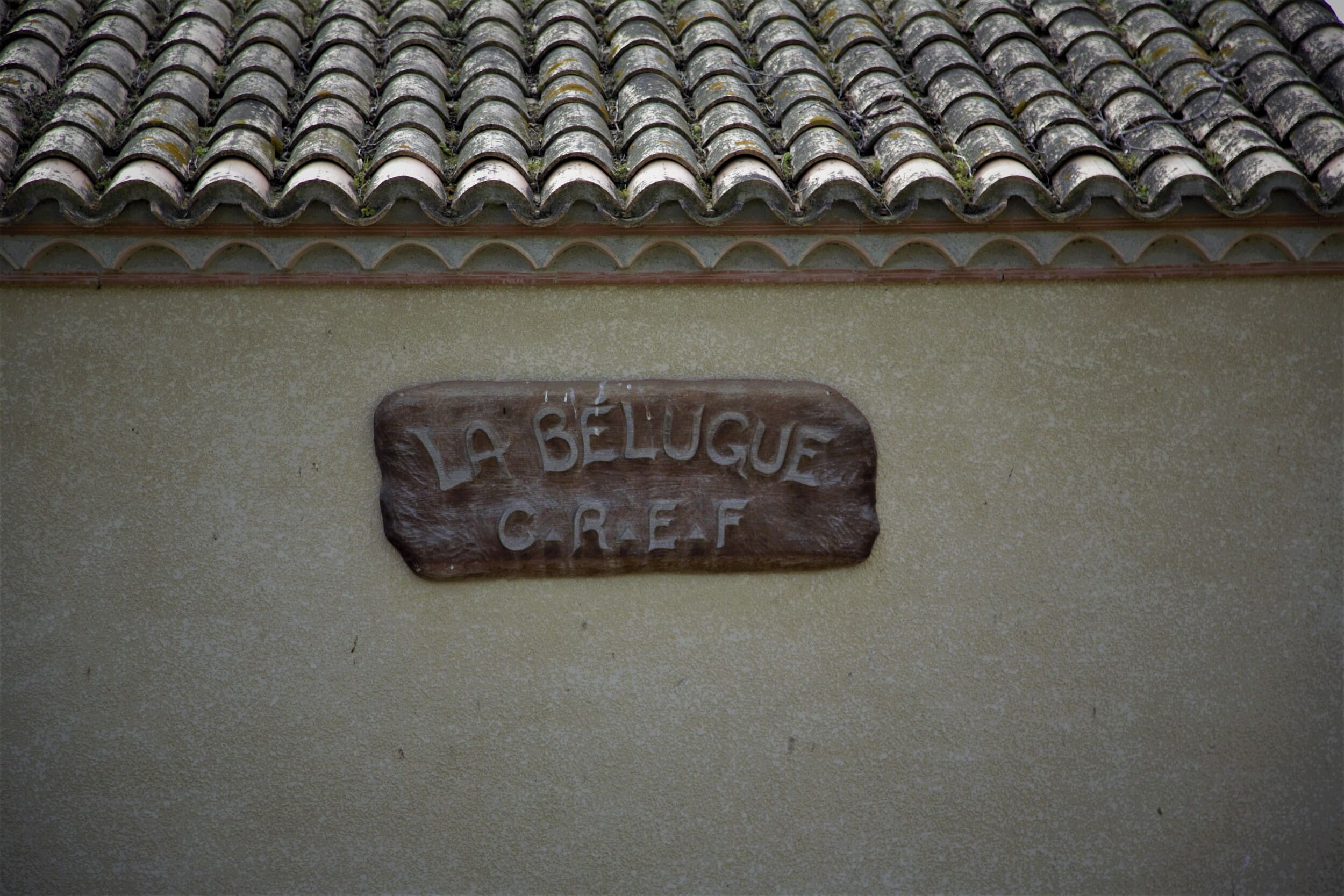 Galerie